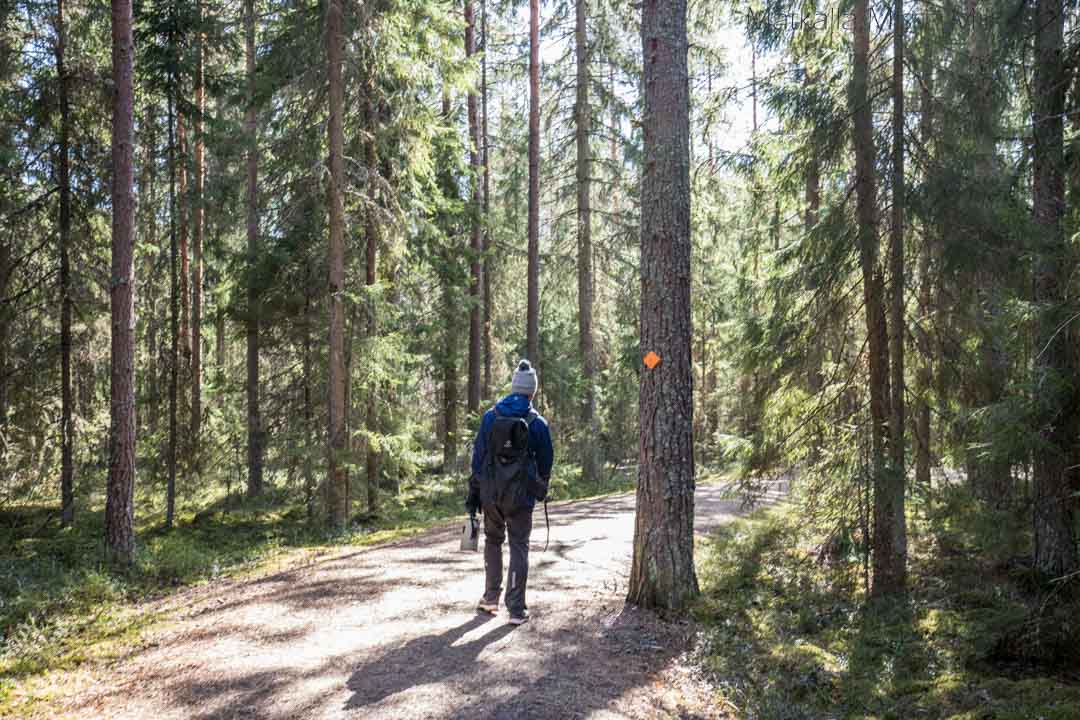 polku Kärjenkallion lintutornille