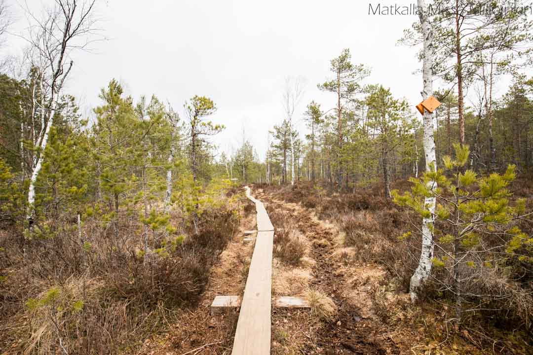 Matildanjärven kierros, Teijon kansallispuisto