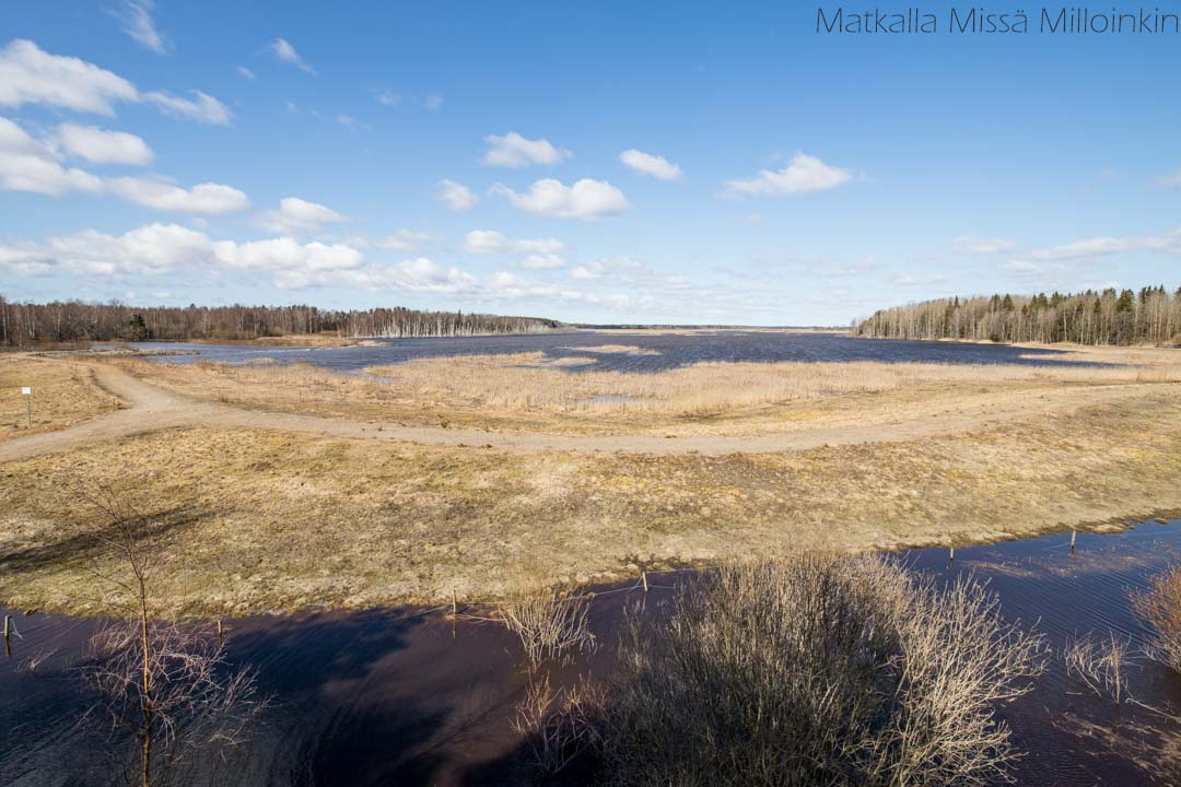 näkymät Mutilahden lintutornilta