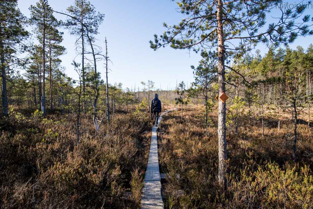 Nenustan kierros, Teijon kansallispuisto
