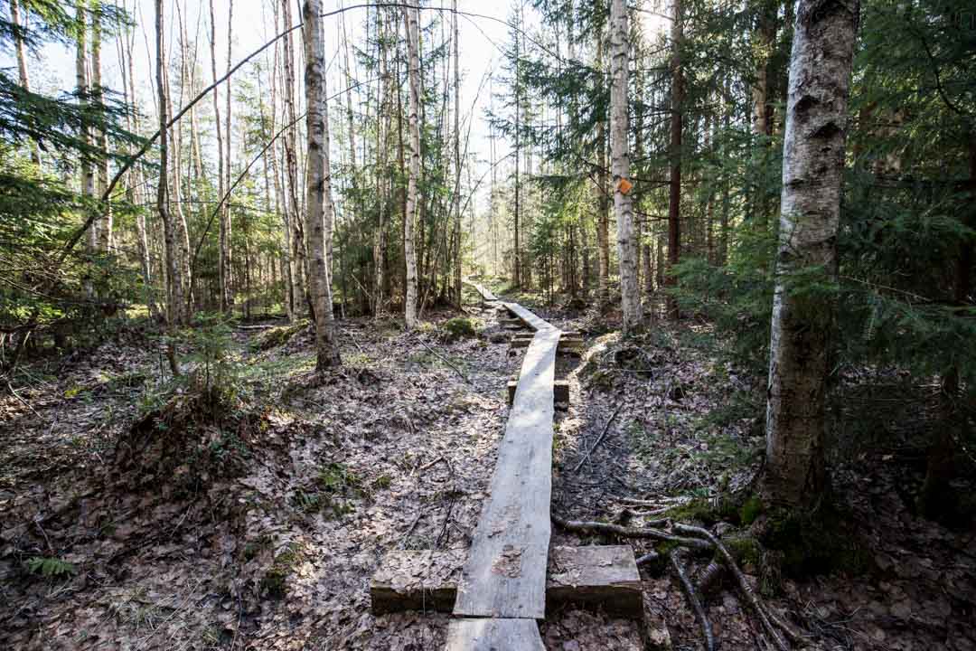 Nenustan kierros, Teijon kansallispuisto