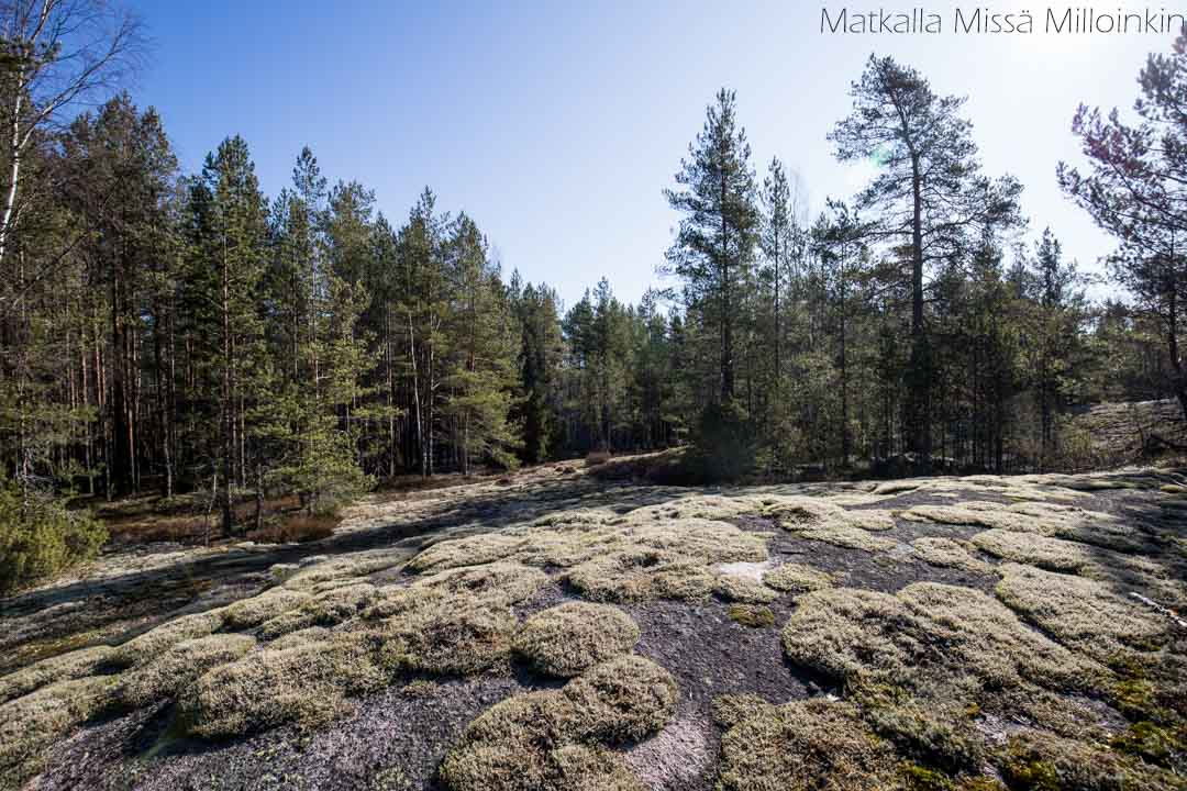 Nenustan kierros, Teijon kansallispuisto