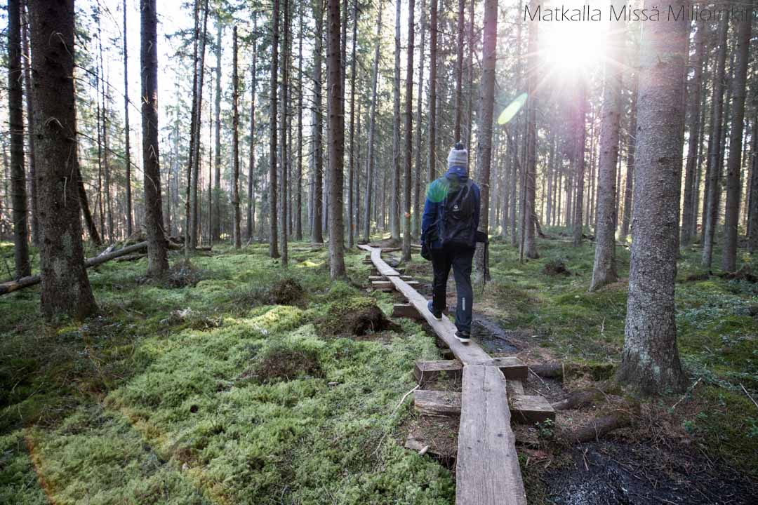 Nenustan kierros, Teijon kansallispuisto