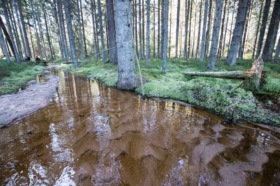 Nenustan kierros, Teijon kansallispuisto