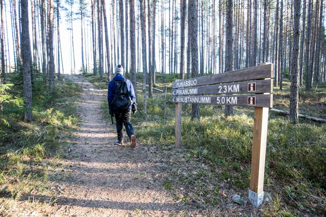 Punassuon reitti, Teijon kansallispuisto