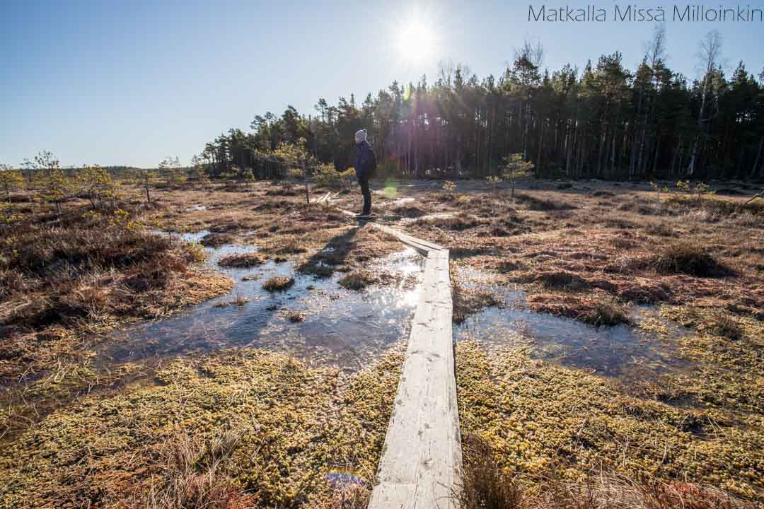 Punassuon reitti, Teijon kansallispuisto