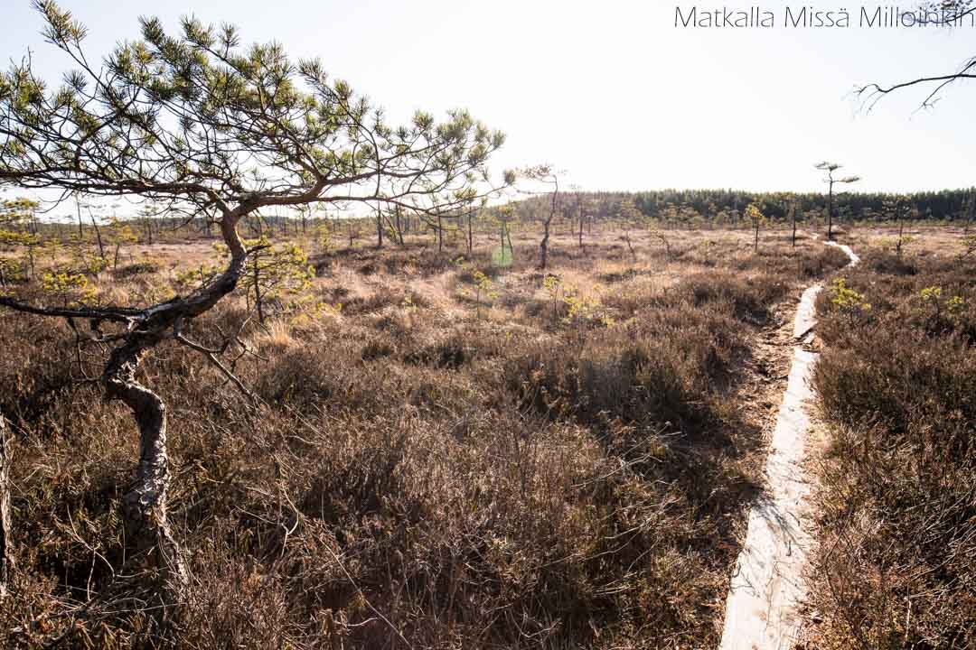 Punassuon reitti, Teijon kansallispuisto