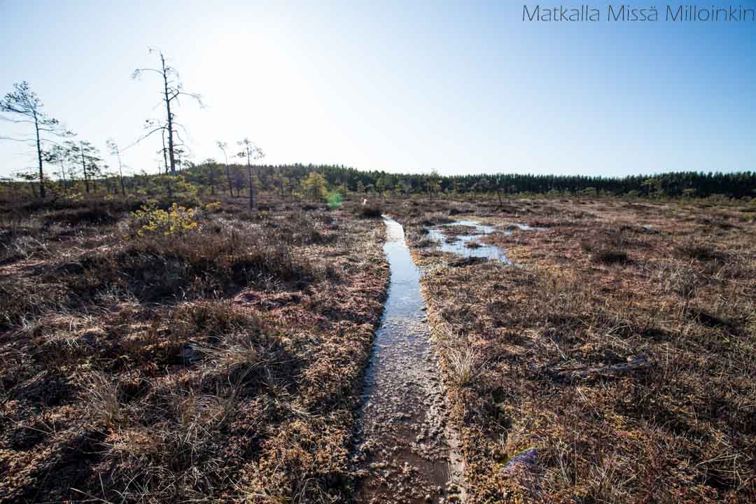Punassuon reitti, Teijon kansallispuisto