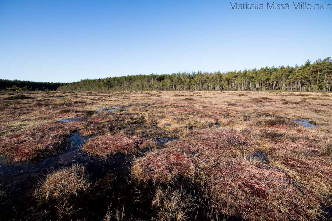 Punassuon reitti, Teijon kansallispuisto