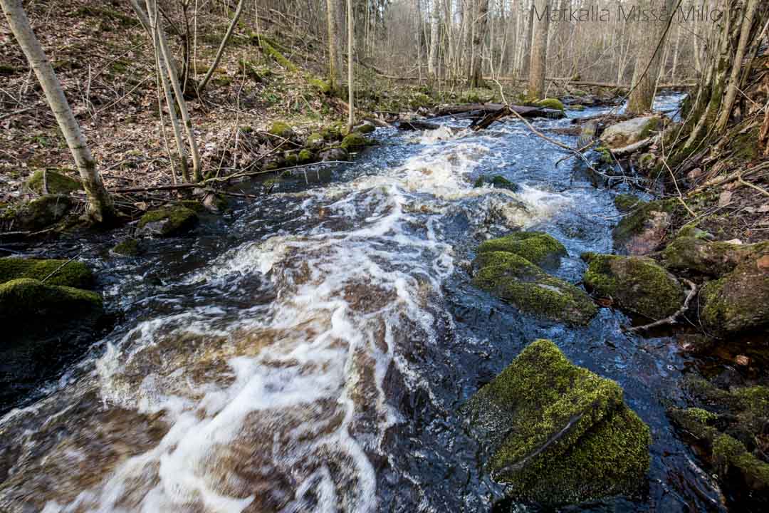 Totin luontopolku, Teijon kansallispuisto