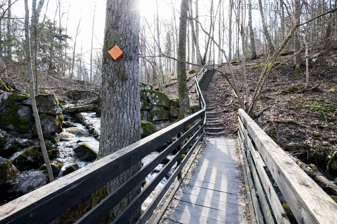 Totin luontopolku, Teijon kansallispuisto