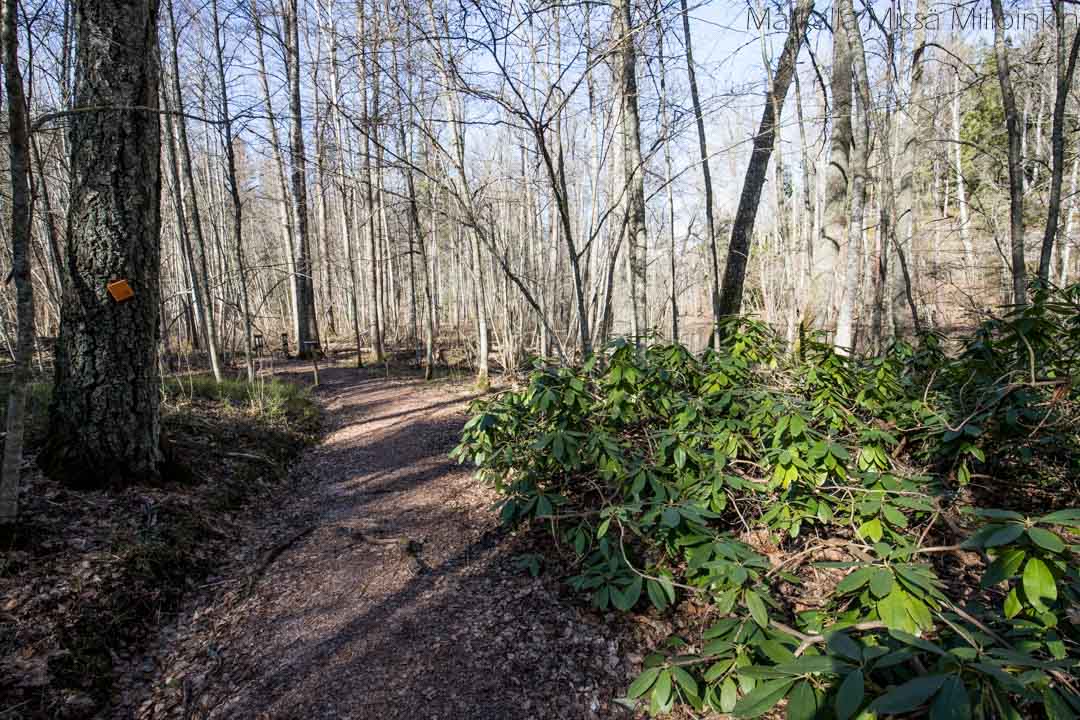 Totin luontopolku, Teijon kansallispuisto