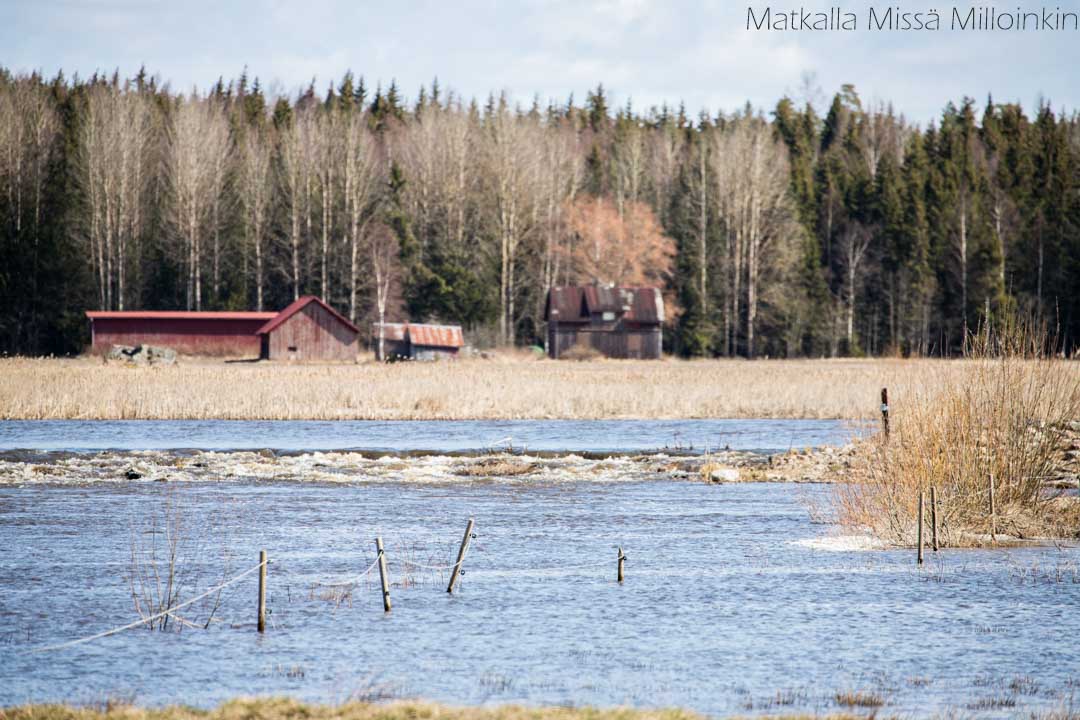 nuotiopaikalle-2 Totin luontopolku, Teijon kansallispuisto