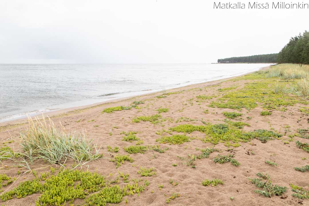 Pyhtään Kaunissaari