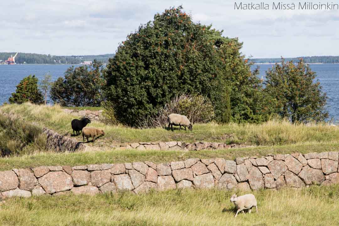 Svartholm merilinnoitus