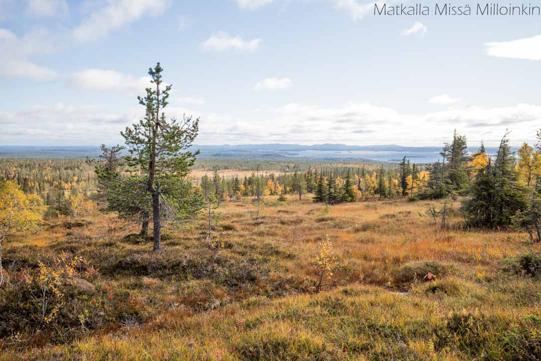 Riisin rietas, Riisitunturin kansallispuisto