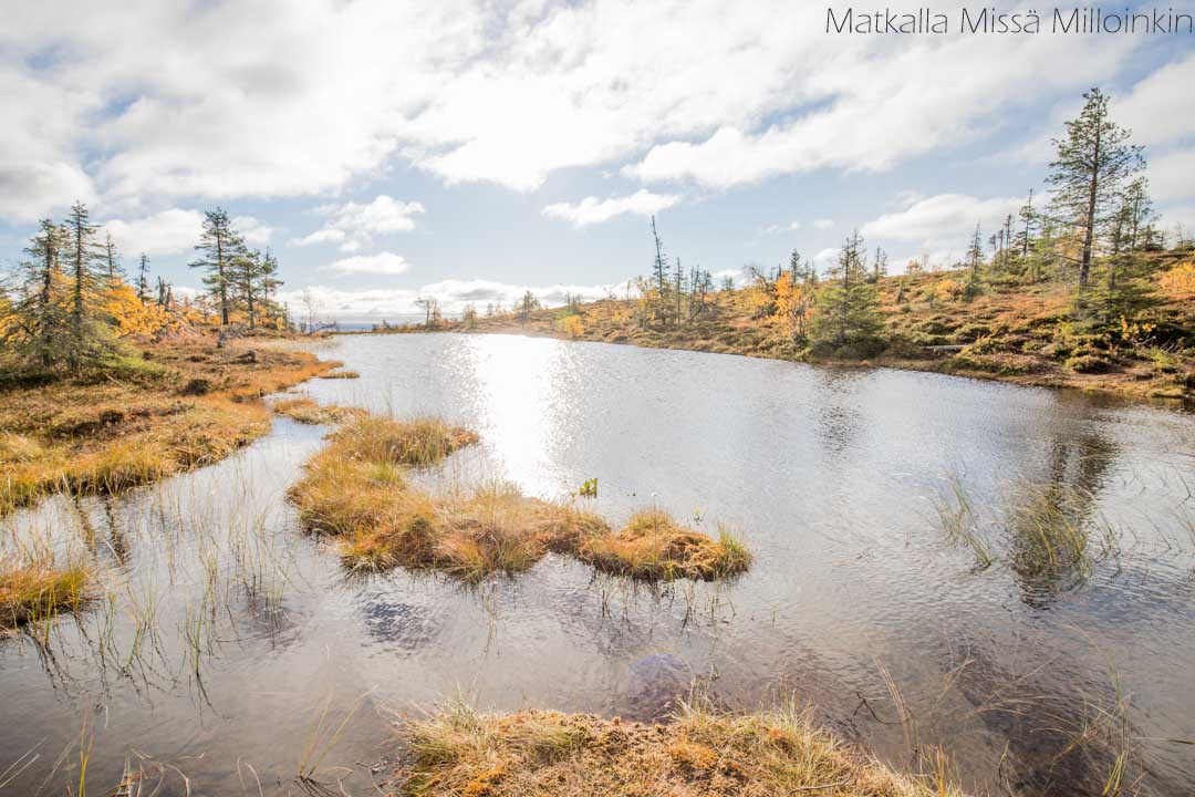 Ikkunalampi, Riisitunturin kansallispuisto