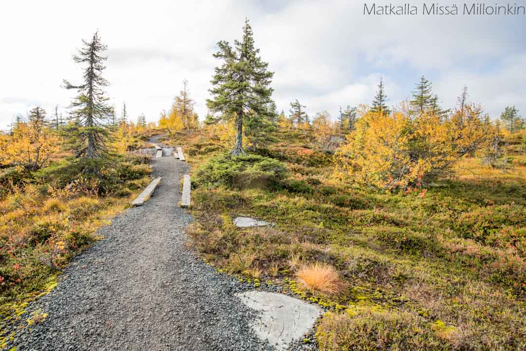 Riisin rietas, Riisitunturin kansallispuisto