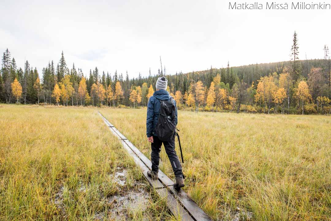 Riisin rietas, Riisitunturin kansallispuisto