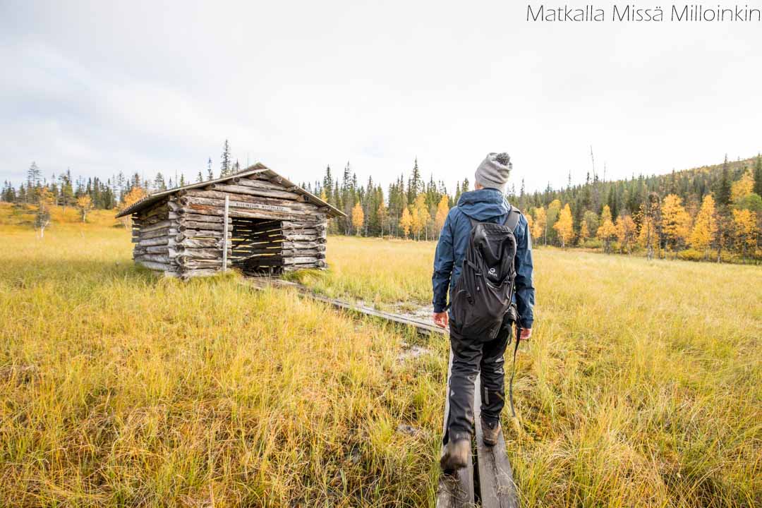 Riisin rietas, Riisitunturin kansallispuisto