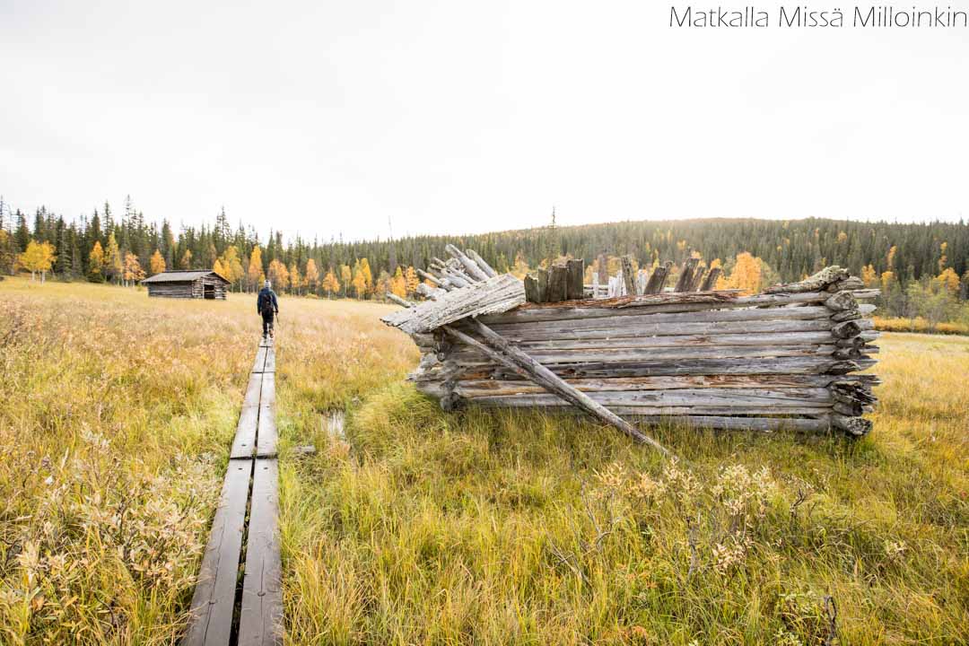 Riisin rietas, Riisitunturin kansallispuisto