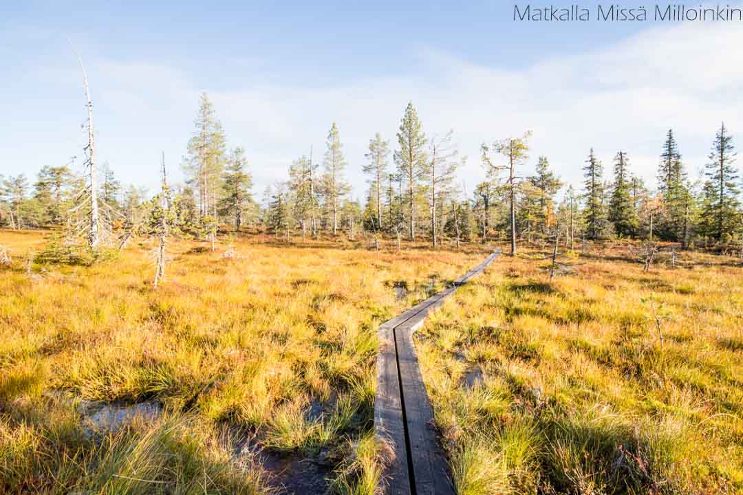 Riisin rietas, Riisitunturin kansallispuisto