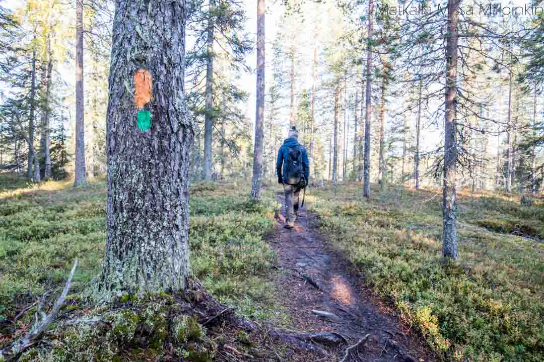 Riisin rietas, reittimerkintä
