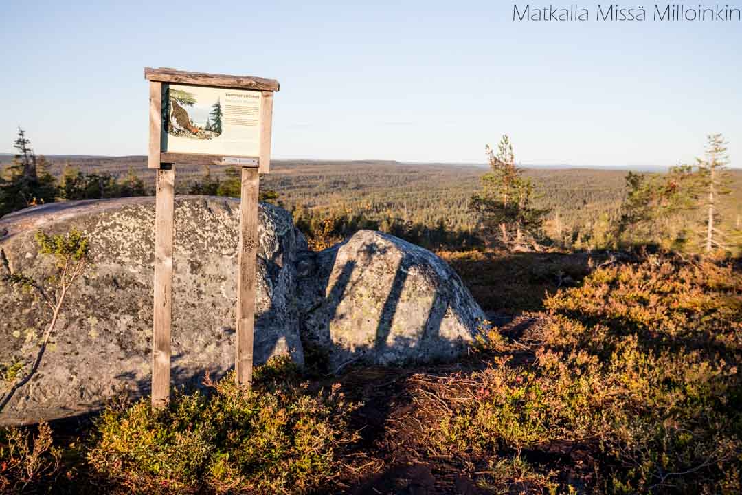 Riisin rietas, Riisitunturin kansallispuisto syksyllä