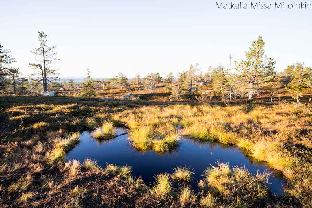 Riisin rietas, Riisitunturin kansallispuisto syksyllä