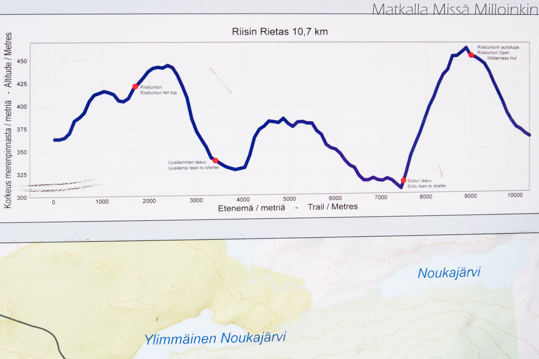 Riisin rietas, korkeusprofiili