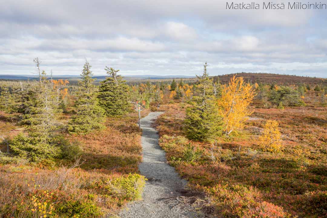 Riisin rietas, Riisitunturin kansallispuisto