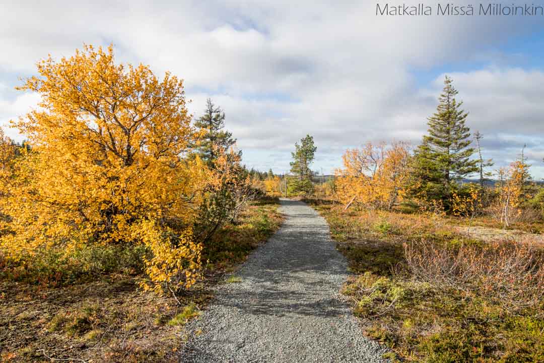 Riisin rietas, Riisitunturin kansallispuisto