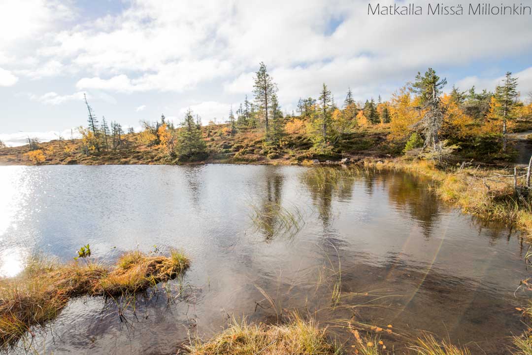 Ikkunalampi, Riisitunturin kansallispuisto