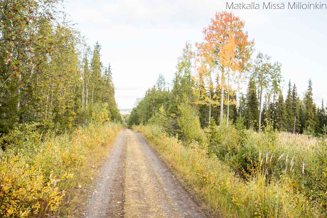 Totovaaran tunturireitti, Pallas-Yllästunturin kansallispuisto-1 Iso-Tiilijärven uimaranta, Hollola. Päijät-Hämeen parhaat uimarannat.