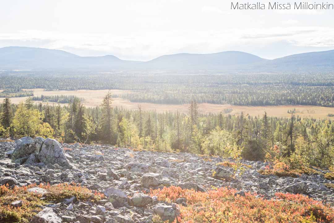 Totovaaran tunturireitti, Pallas-Yllästunturin kansallispuisto-10 Totovaaran tunturireitti, Pallas-Yllästunturin kansallispuisto syksyllä