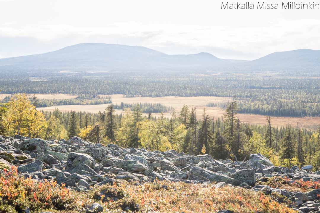 Totovaaran tunturireitti, Pallas-Yllästunturin kansallispuisto-13 Totovaaran tunturireitti, Pallas-Yllästunturin kansallispuisto syksyllä
