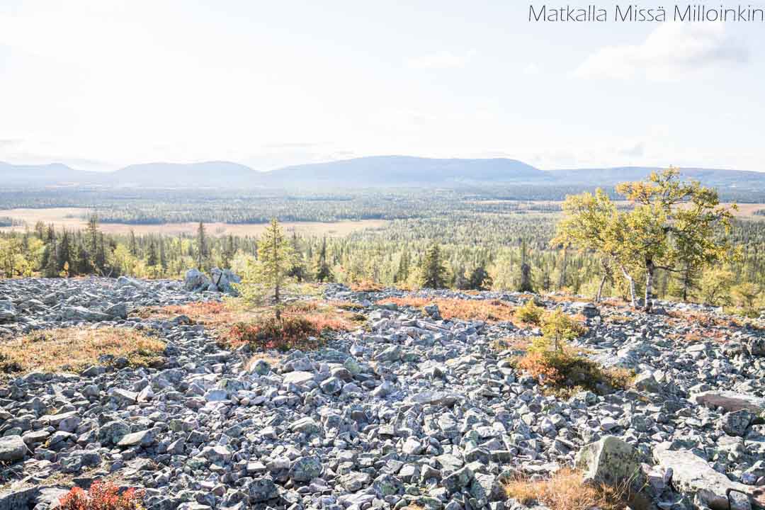Totovaaran tunturireitti, Pallas-Yllästunturin kansallispuisto-14 Totovaaran tunturireitti, Pallas-Yllästunturin kansallispuisto syksyllä