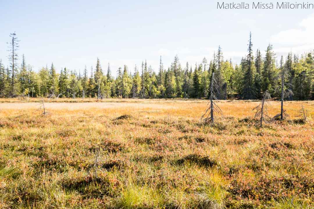 Totovaaran tunturireitti, Pallas-Yllästunturin kansallispuisto-18 Ranskalainen kyläkauppa, Vääksy