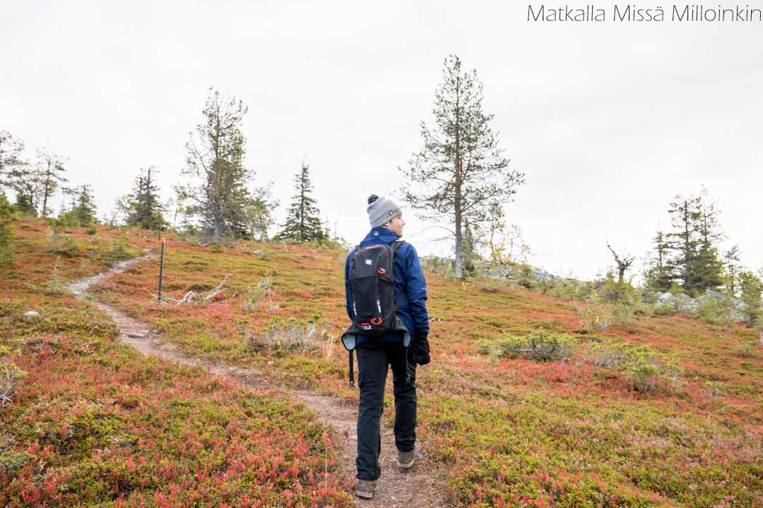 Totovaaran tunturireitti, Pallas-Yllästunturin kansallispuisto-23 Totovaaran tunturireitti, Pallas-Yllästunturin kansallispuisto syksyllä