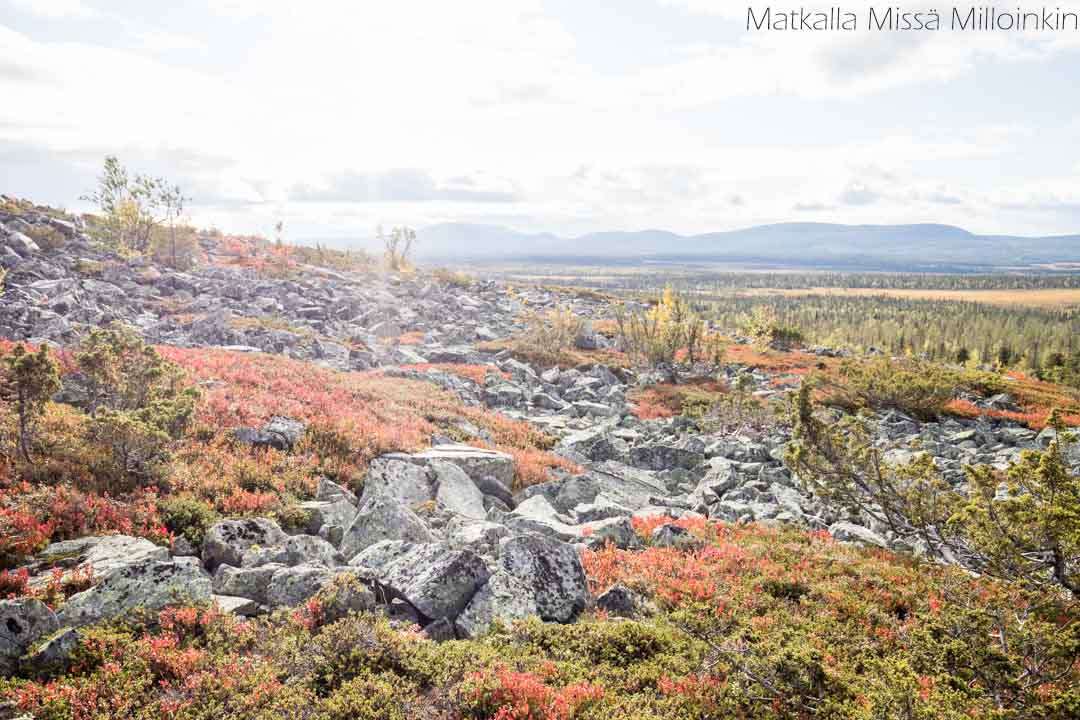 Totovaaran tunturireitti, Pallas-Yllästunturin kansallispuisto-26 Totovaaran tunturireitti, Pallas-Yllästunturin kansallispuisto syksyllä