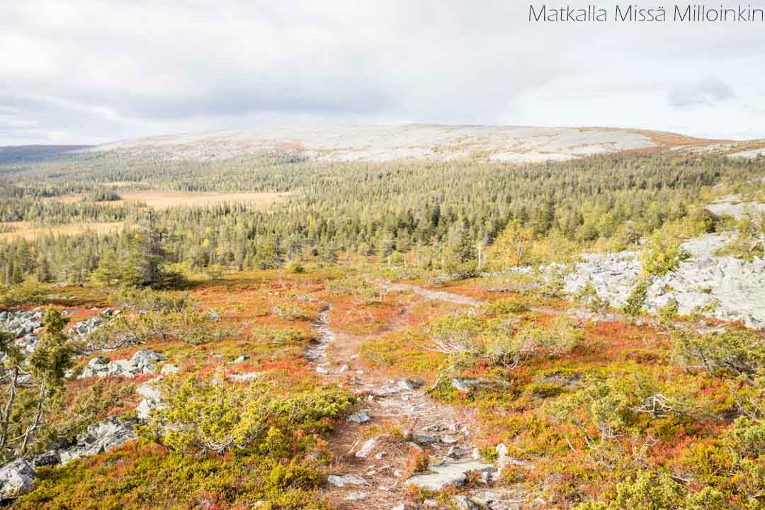 Totovaaran tunturireitti, Pallas-Yllästunturin kansallispuisto-27 Totovaaran tunturireitti, Pallas-Yllästunturin kansallispuisto syksylläv