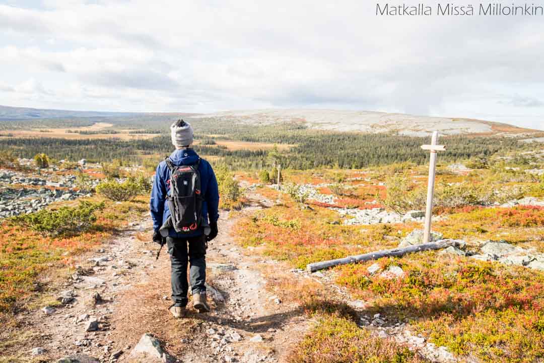 Totovaaran tunturireitti, Pallas-Yllästunturin kansallispuisto-29 Totovaaran tunturireitti, Pallas-Yllästunturin kansallispuisto syksyllä