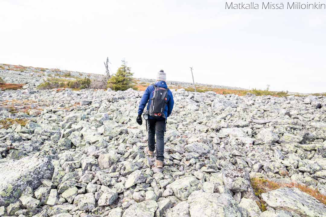 Totovaaran tunturireitti, Pallas-Yllästunturin kansallispuisto-30 Totovaaran tunturireitti, Pallas-Yllästunturin kansallispuisto syksyllä