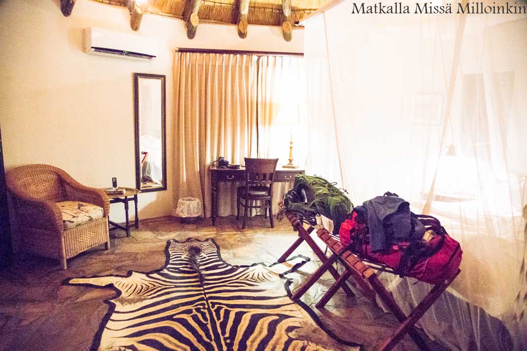 simpanssisafari, Kibalen kansallispuisto Uganda