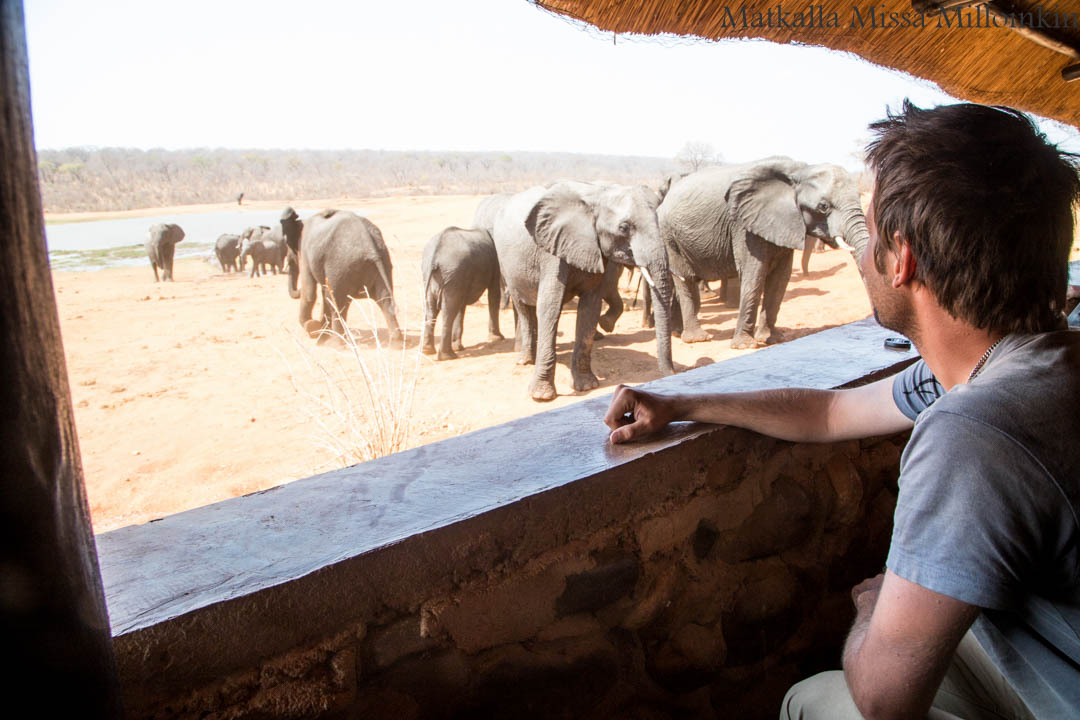 Ivory Lodge, Zimbabwe