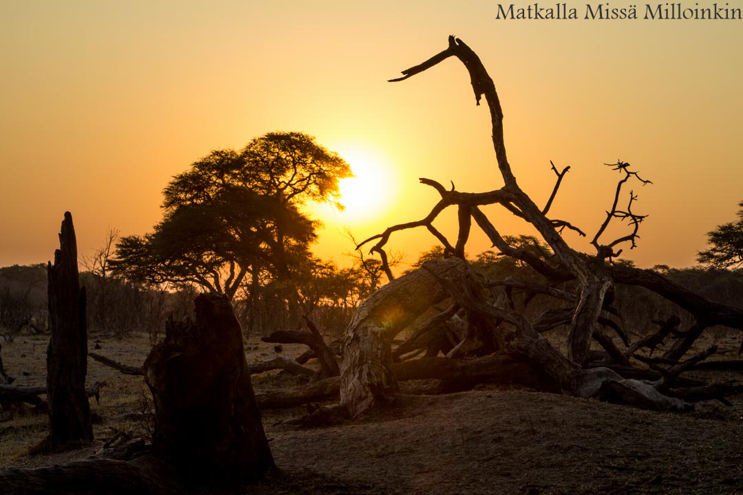 Choben kansallispuisto, venesafari Botswana