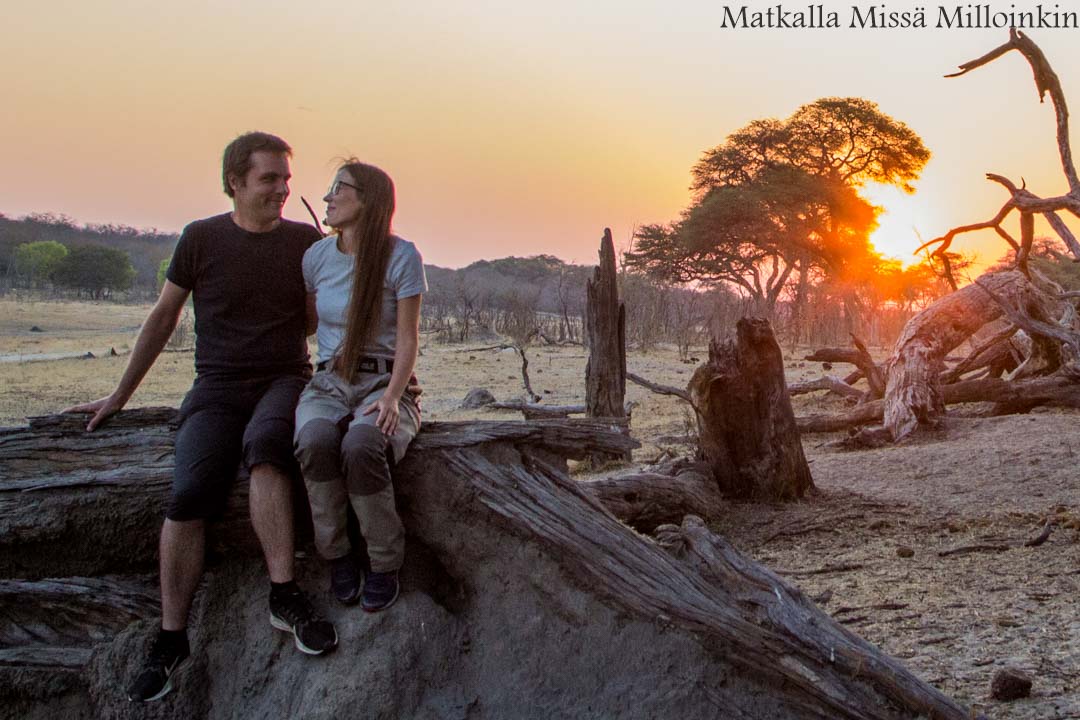 Hwangen kansallispuisto, safari Zimbabwe