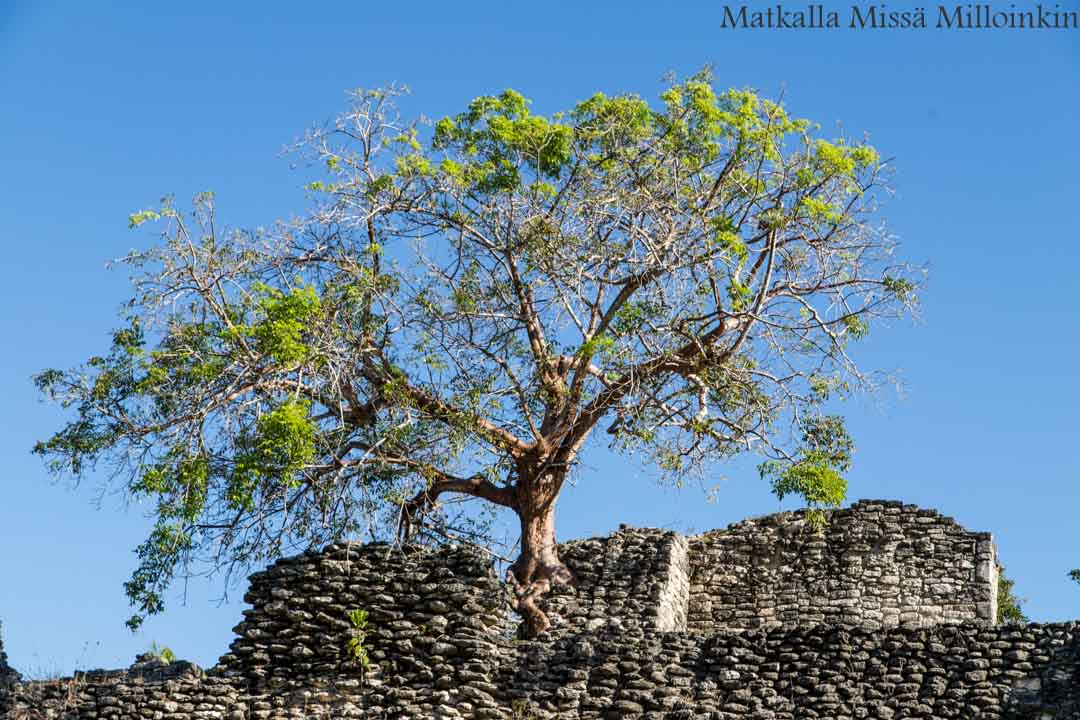 Kohunlich, maya-raunio Meksiko
