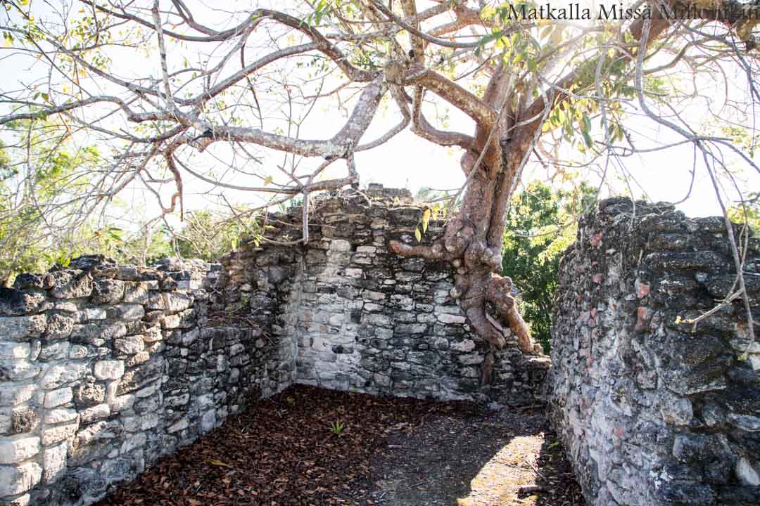 Kohunlich, maya-raunio Meksiko