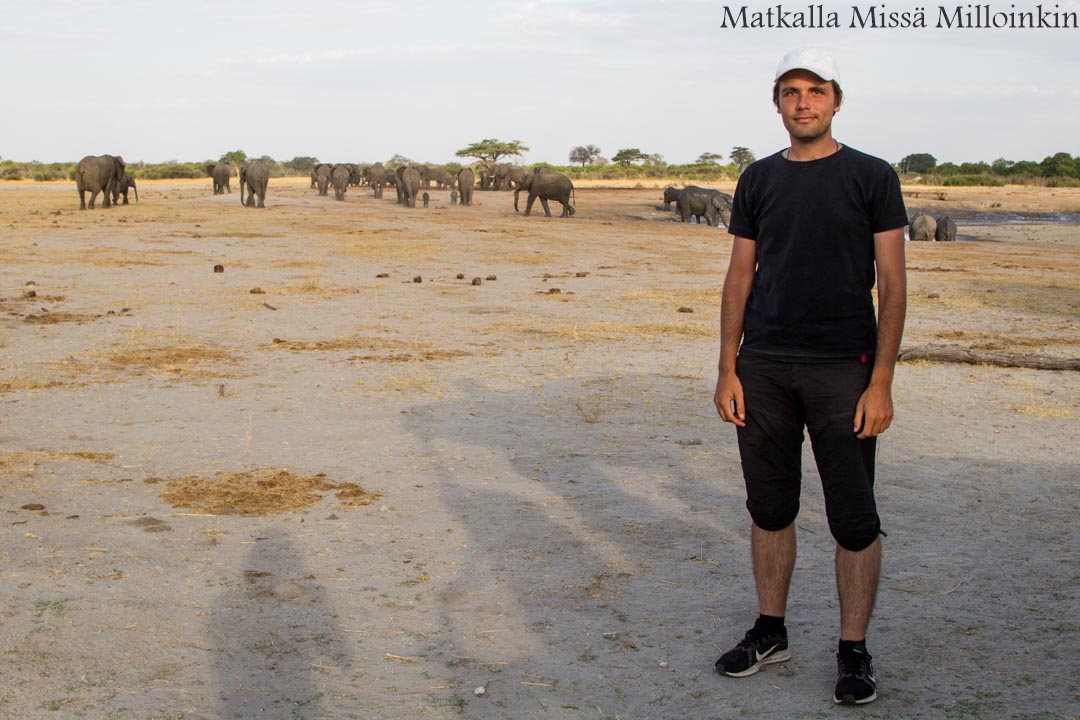 Hwangen kansallispuisto, safari Zimbabwe